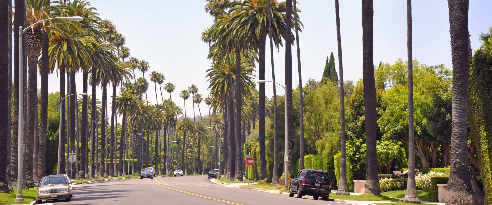 Exploring Los Angeles in a Wheelchair: An Expert's Guide