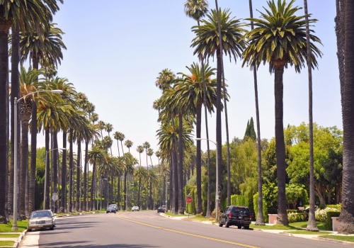 Exploring Los Angeles in a Wheelchair: An Expert's Guide